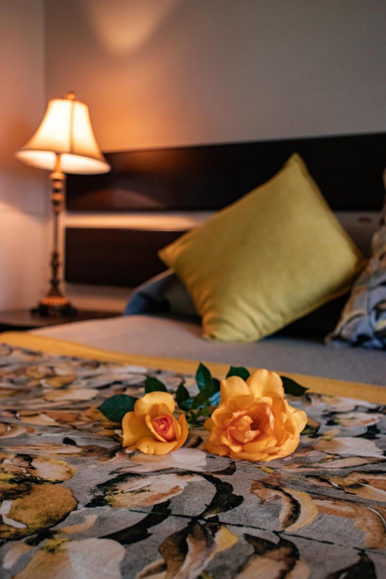 Drakensview Self Catering Leilighet Winterton Eksteriør bilde